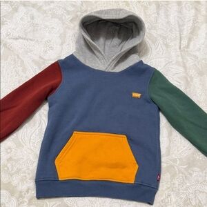 Levi's Kids Multicolor Hoodie with Pocket